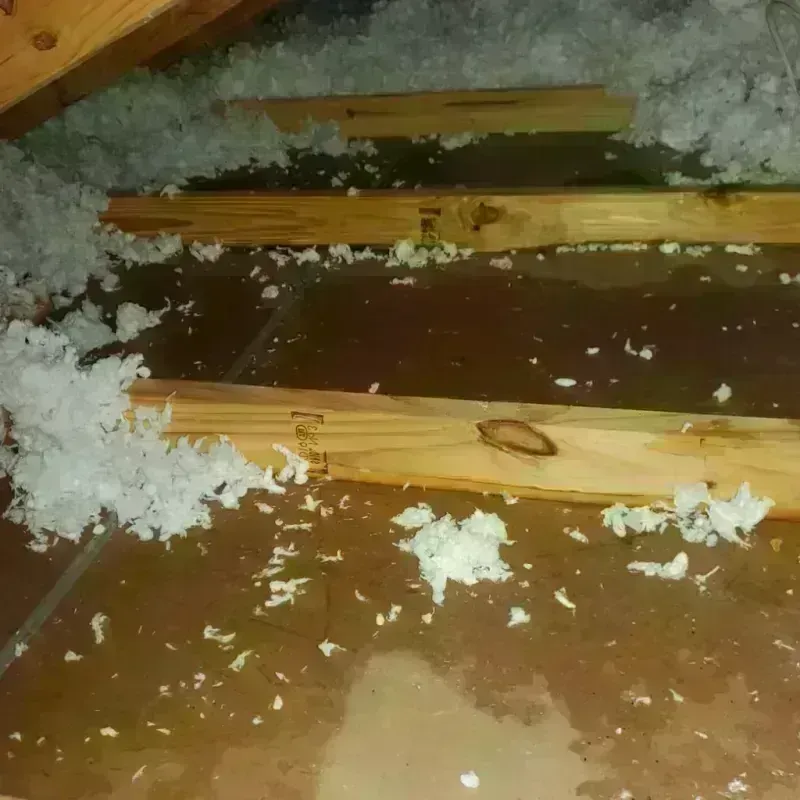 Attic Water Damage in Marshall, TX