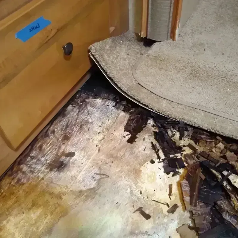 Wood Floor Water Damage in Marshall, TX